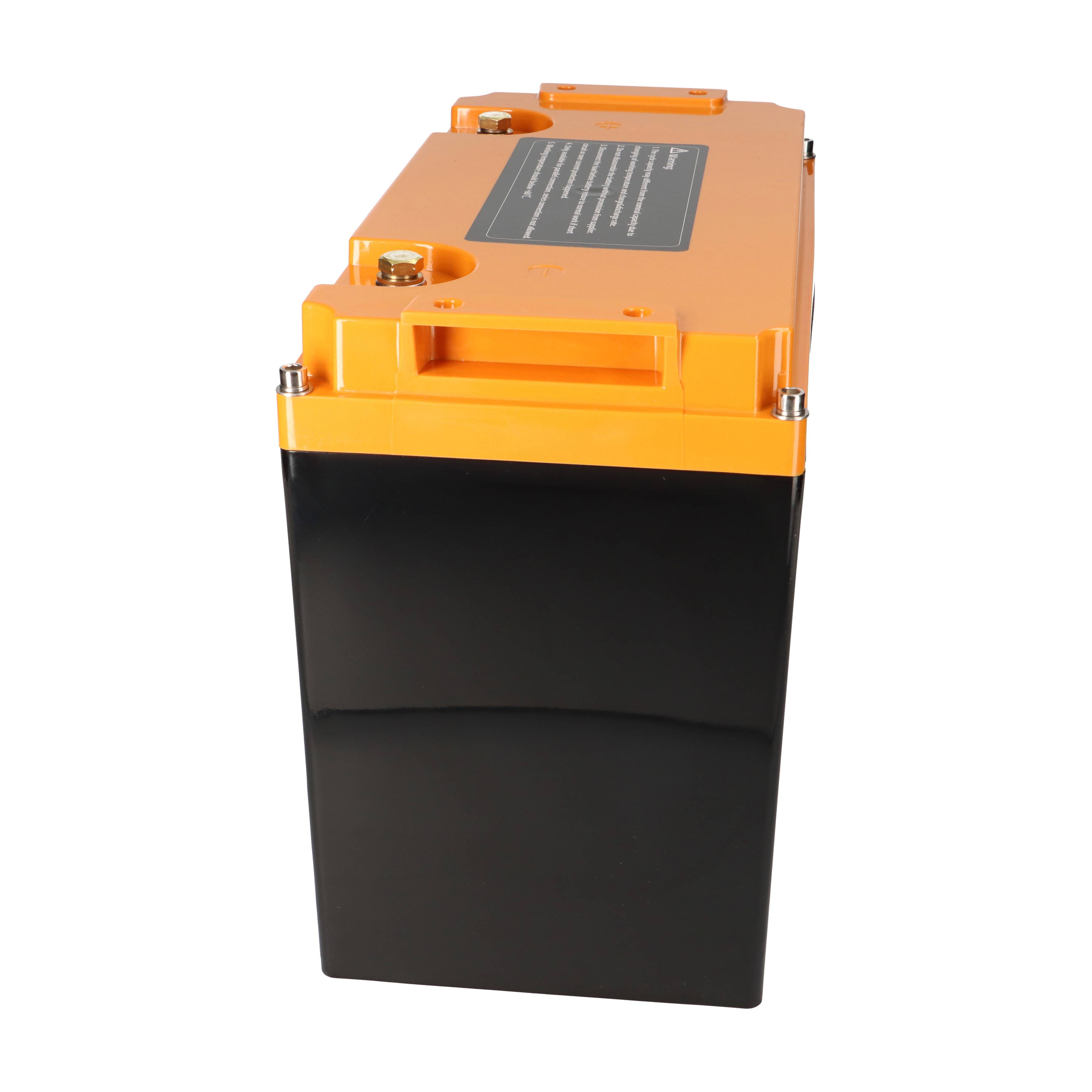 Liontron 9819, 1x -04260586370911