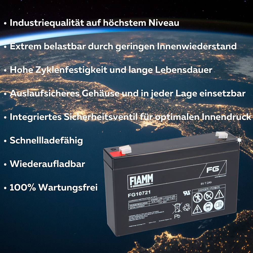 Fiamm 3384, 1x -04251677306391