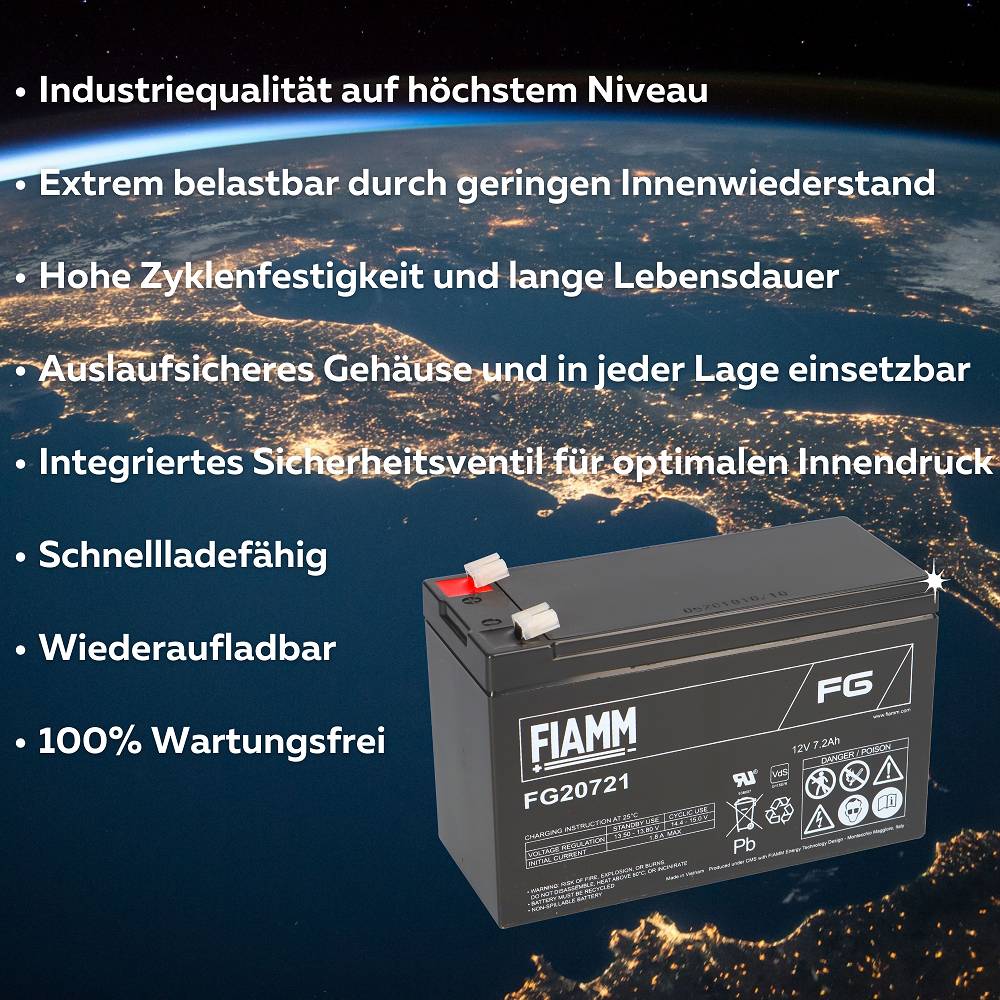 Fiamm 3378, 1x -04251677306346