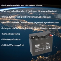 Fiamm Blei-Akku FG21803 Pb 12V / 18Ah M5 Fiamm Blei-Akku FG21803 Pb 12V / 18Ah M5