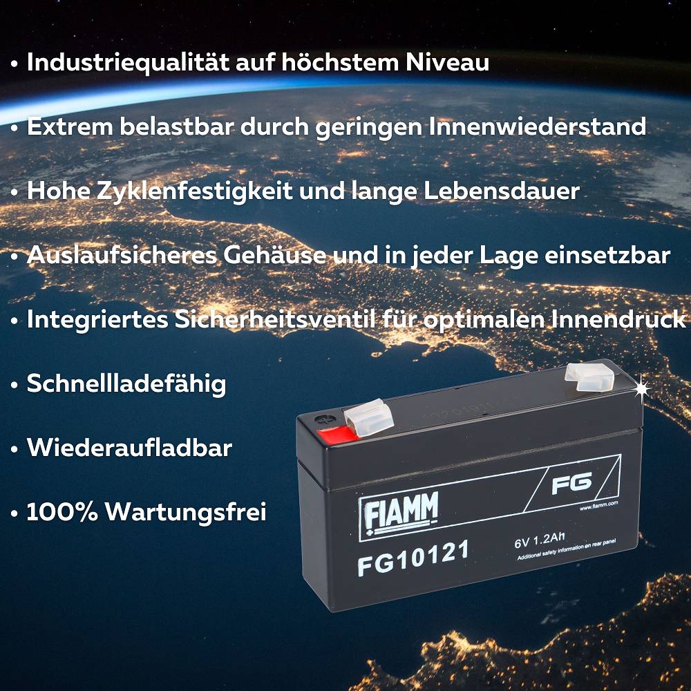 Fiamm 3381, 1x -04251677306414