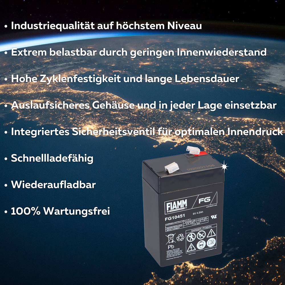 Fiamm 3383, 1x -04251677306407