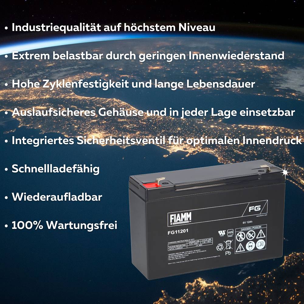 Fiamm 3382, 1x -04251677306384