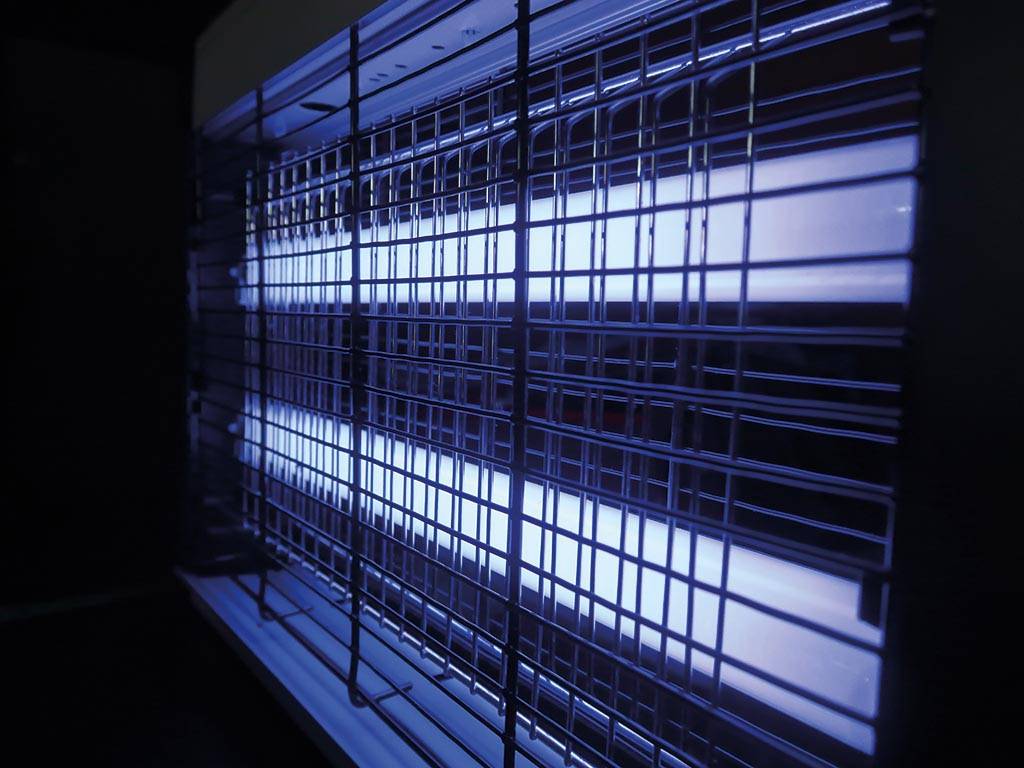 Perel GIK16LAMP, 1x -05410329607098