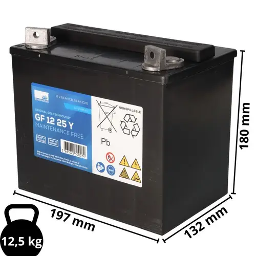 Exide Sonnenschein GF 12 025 Y G dryfit Blei Gel Antriebsbatterie 12V 25Ah Exide Sonnenschein GF 12 025 Y G dryfit Blei Gel Antriebsbatterie 12V 25Ah