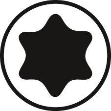 HECO-TOPIX-plus 6,0x100, Senkkopf, T-25, TG, A3K, 100 St.