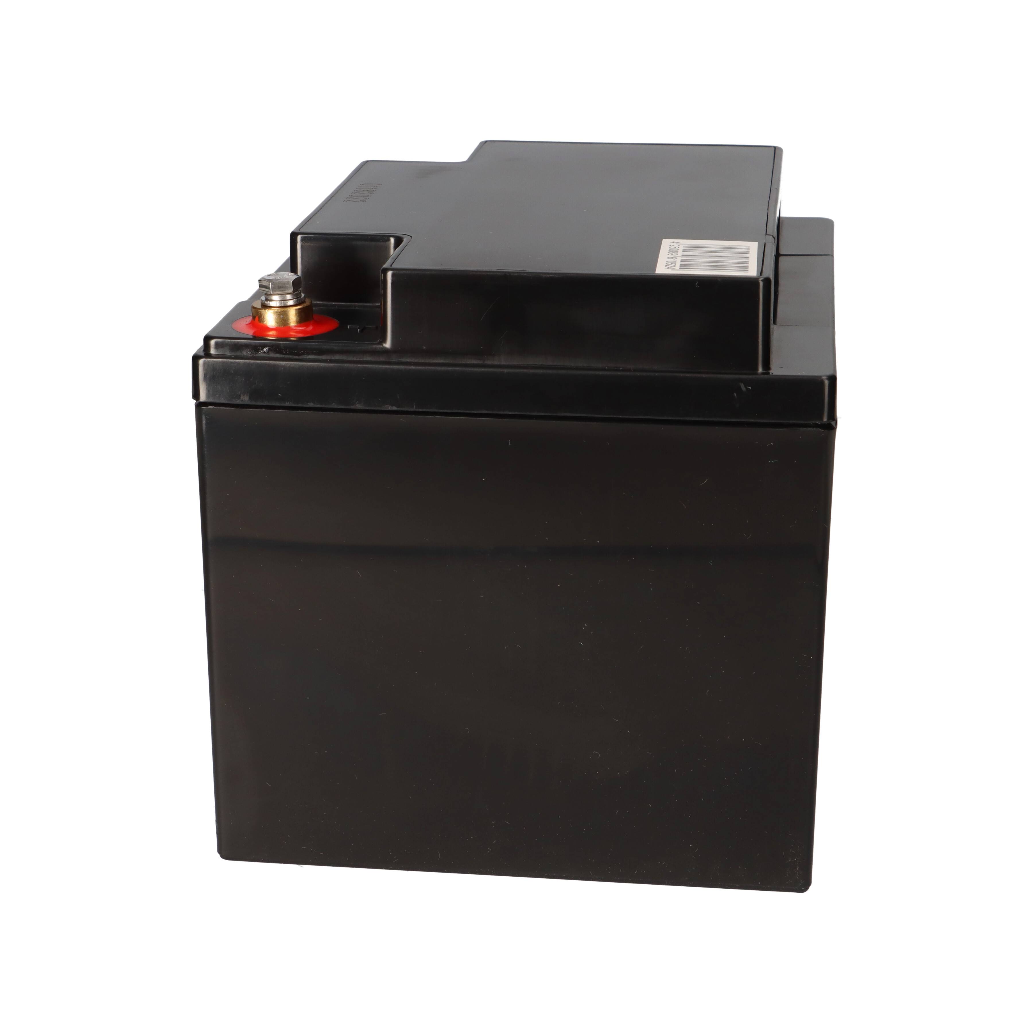 Q-Batteries 12LS-45 12 V 45 Ah AGM Bleiakku VdS G113004