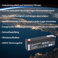 Q-Batteries 12LS-2.1 12V 2,1Ah Blei-Vlies Akku / AGM VRLA VRLA mit VdS Q-Batteries 12LS-2.1 12V 2,1Ah Blei-Vlies Akku / AGM VRLA VRLA mit VdS