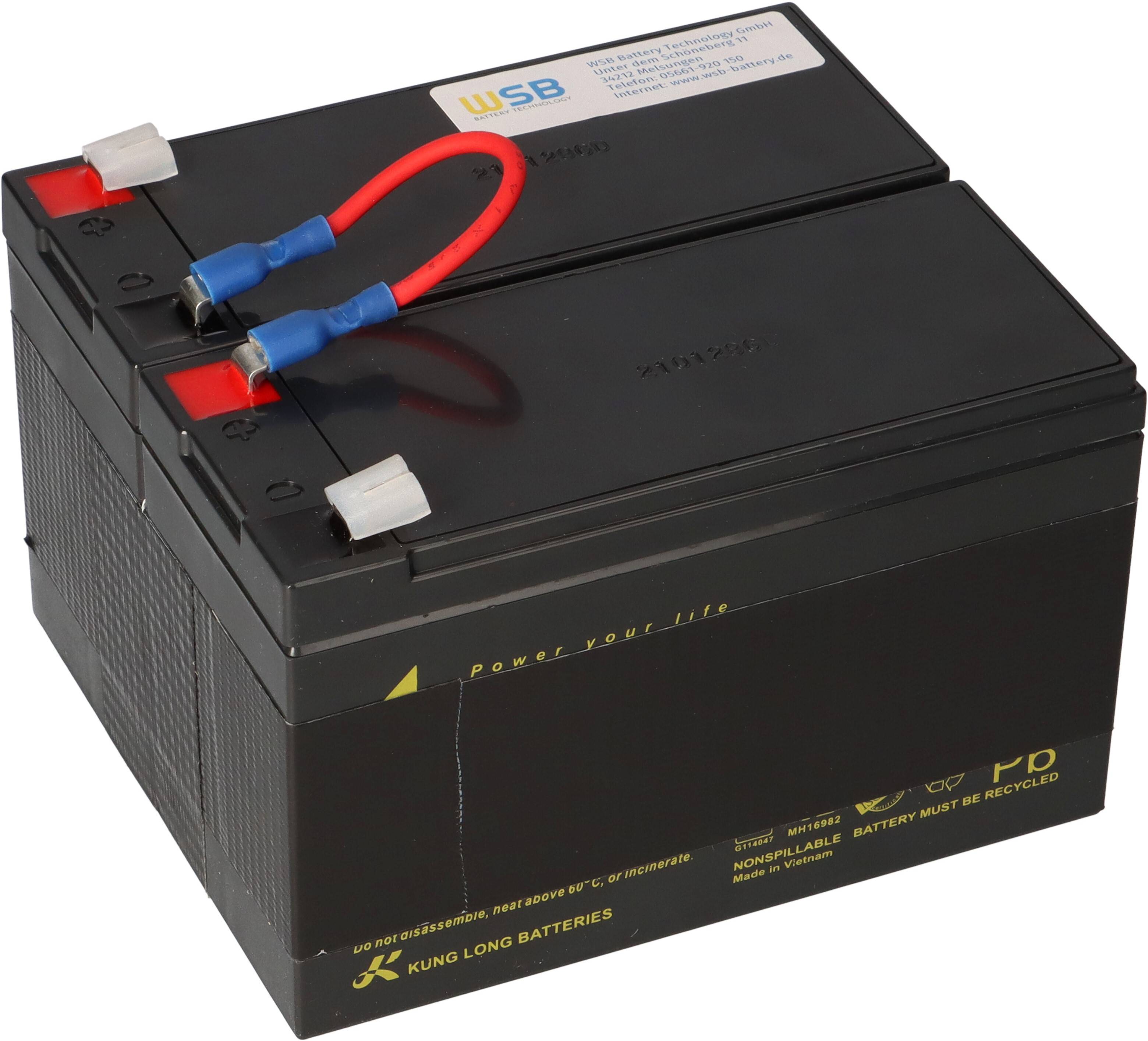 APC RBC109 Ersatz-Akkupack 24V 7,2Ah – passend für APC Back-UPS RS 1200 / 1500, BR1200LCDI und BR1500LCDI