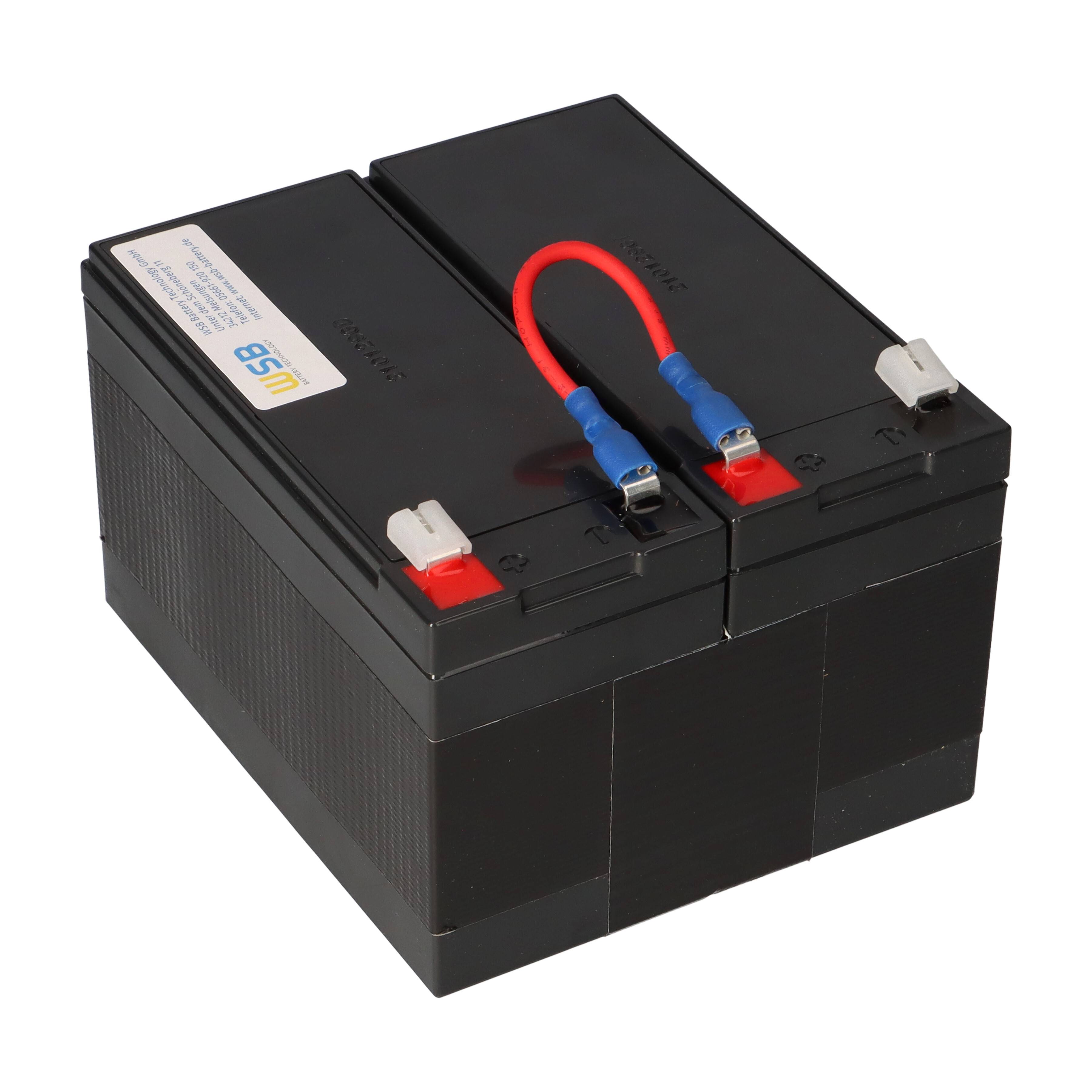 APC RBC109 Ersatz-Akkupack 24V 7,2Ah – passend für APC Back-UPS RS 1200 / 1500, BR1200LCDI und BR1500LCDI