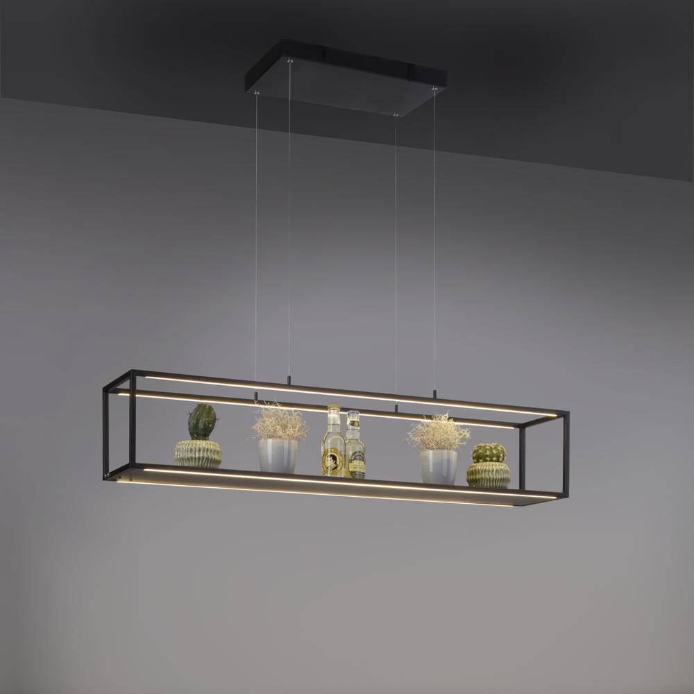 LED Pendelleuchte Contura in Schwarz 4x10,5W 850lm