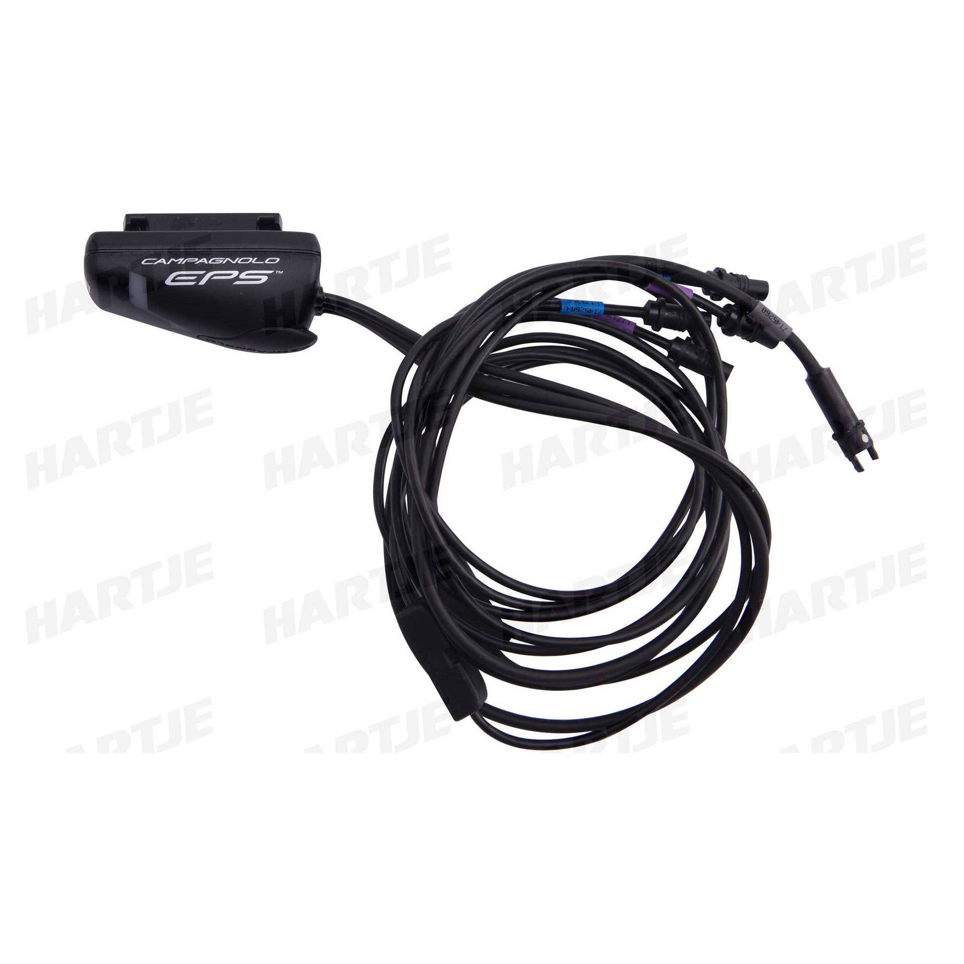 Campagnolo 8053340450105, 1x -08053340450105