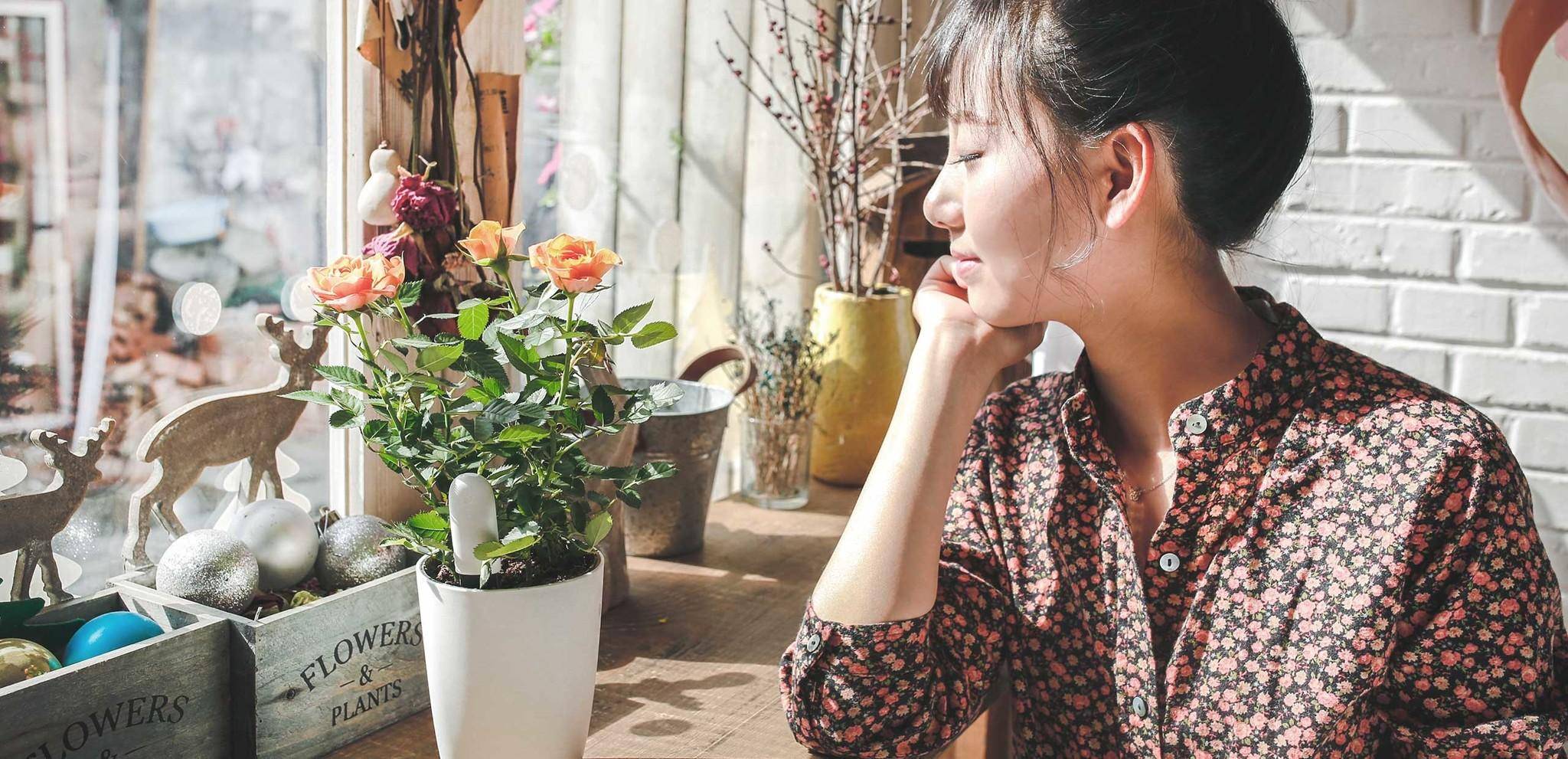 Xiaomi Mi Flora Care Plant Sensor, Smart Pflanzenmonitor