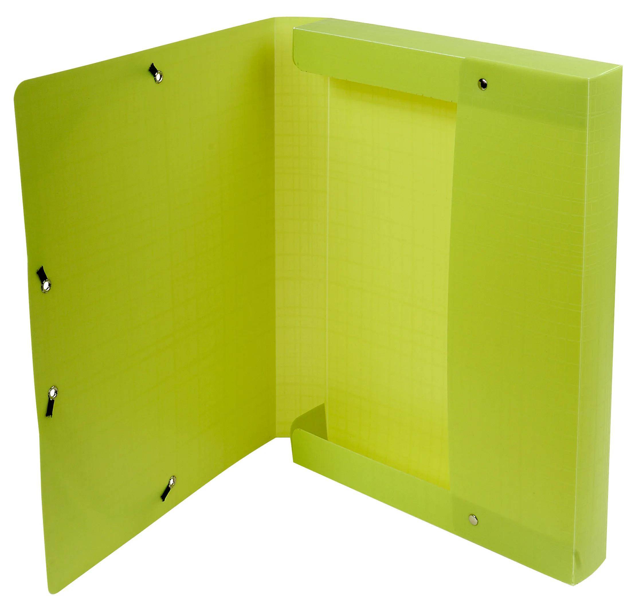 Exacompta 8x PP, Archivbox mit Gummizug A4, Rücken 40mm - Anisgrün - 553573E
