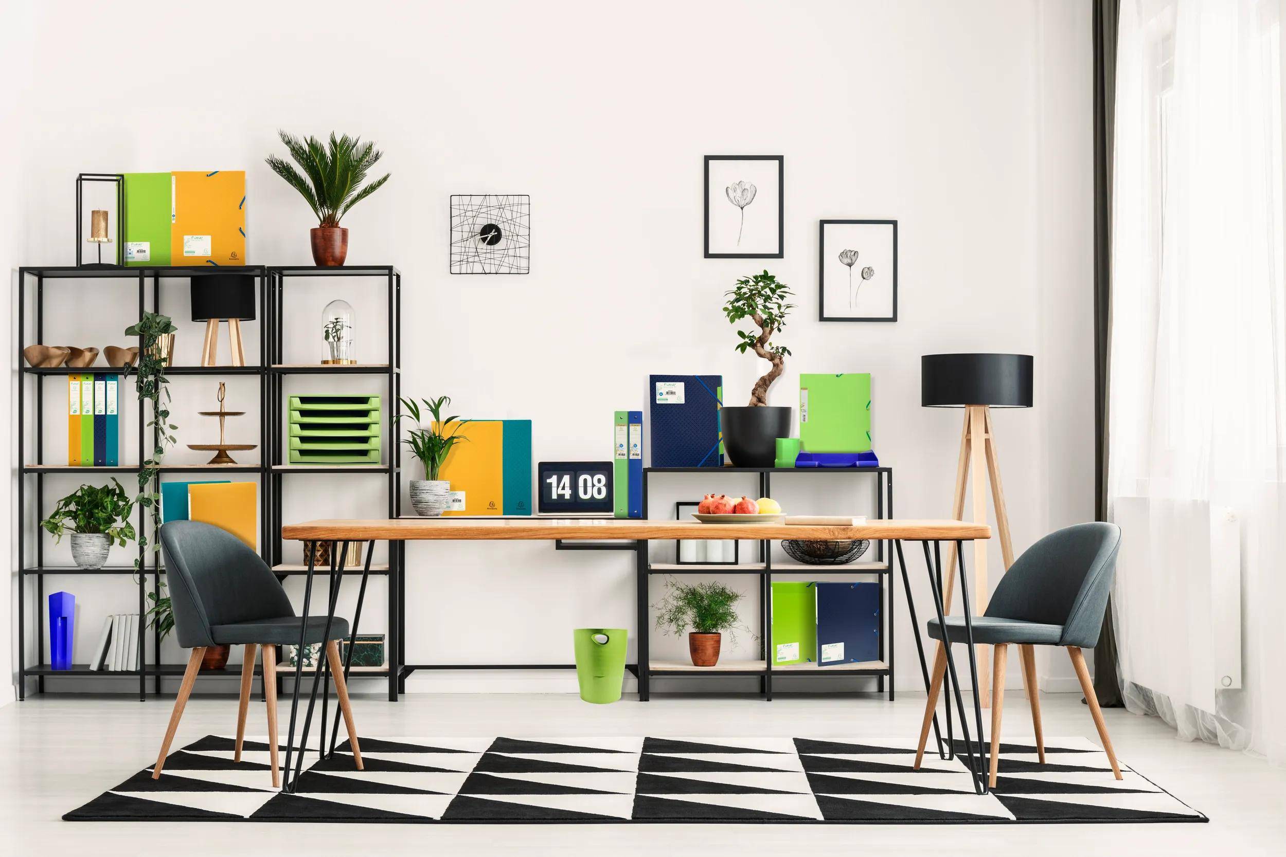 Exacompta 8x PP, Archivbox mit Gummizug A4, Rücken 40mm - Anisgrün - 553573E