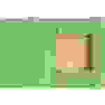 Exacompta 55513E 25x Sammelmappen mit Gummizug und 3 Klappen, Colorspan-Karton 400g/m2, für DIN A4 - Lindgrün