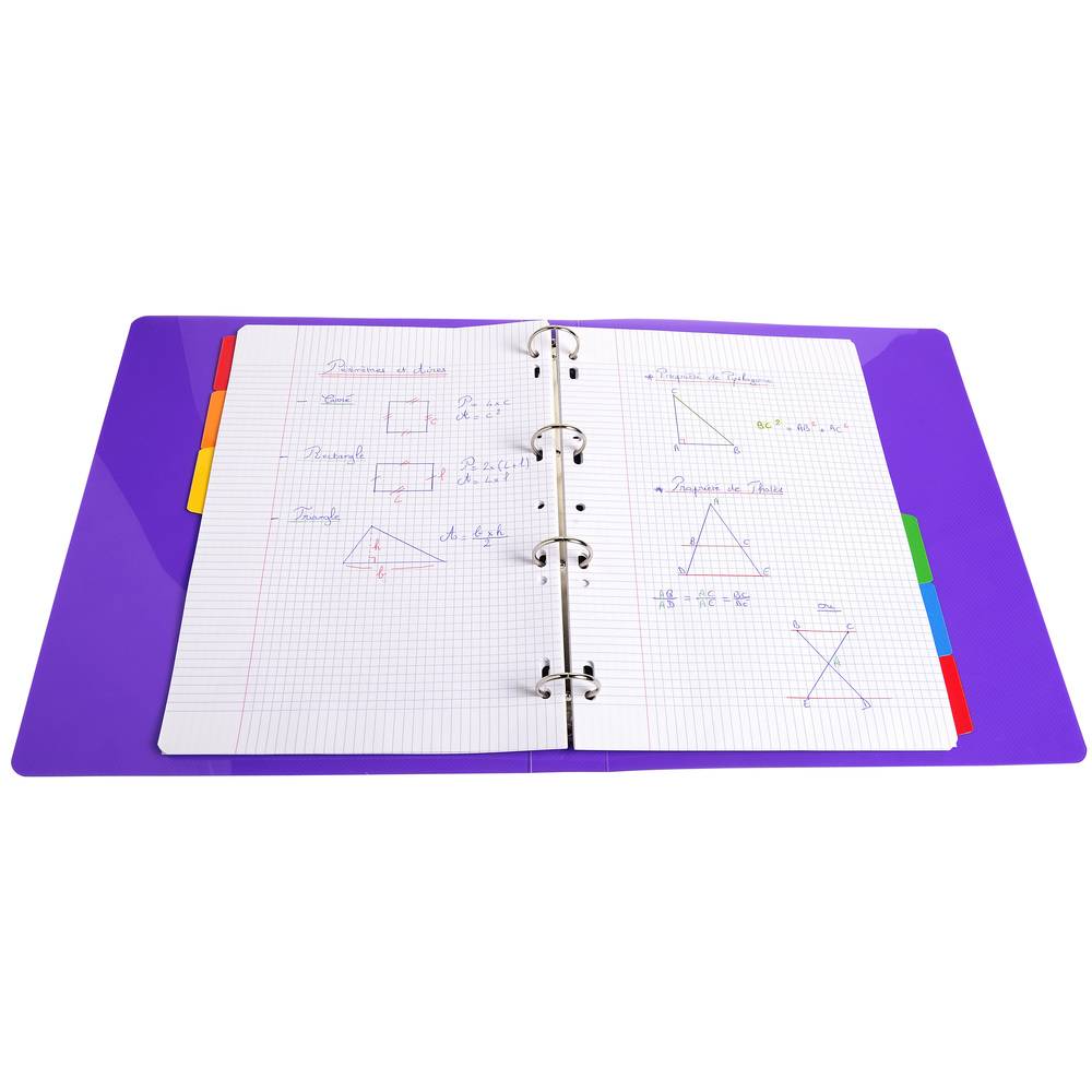 Exacompta 20x Register weißem Karton 160g, 6 farbige Taben, A4, Weiß, 2306E