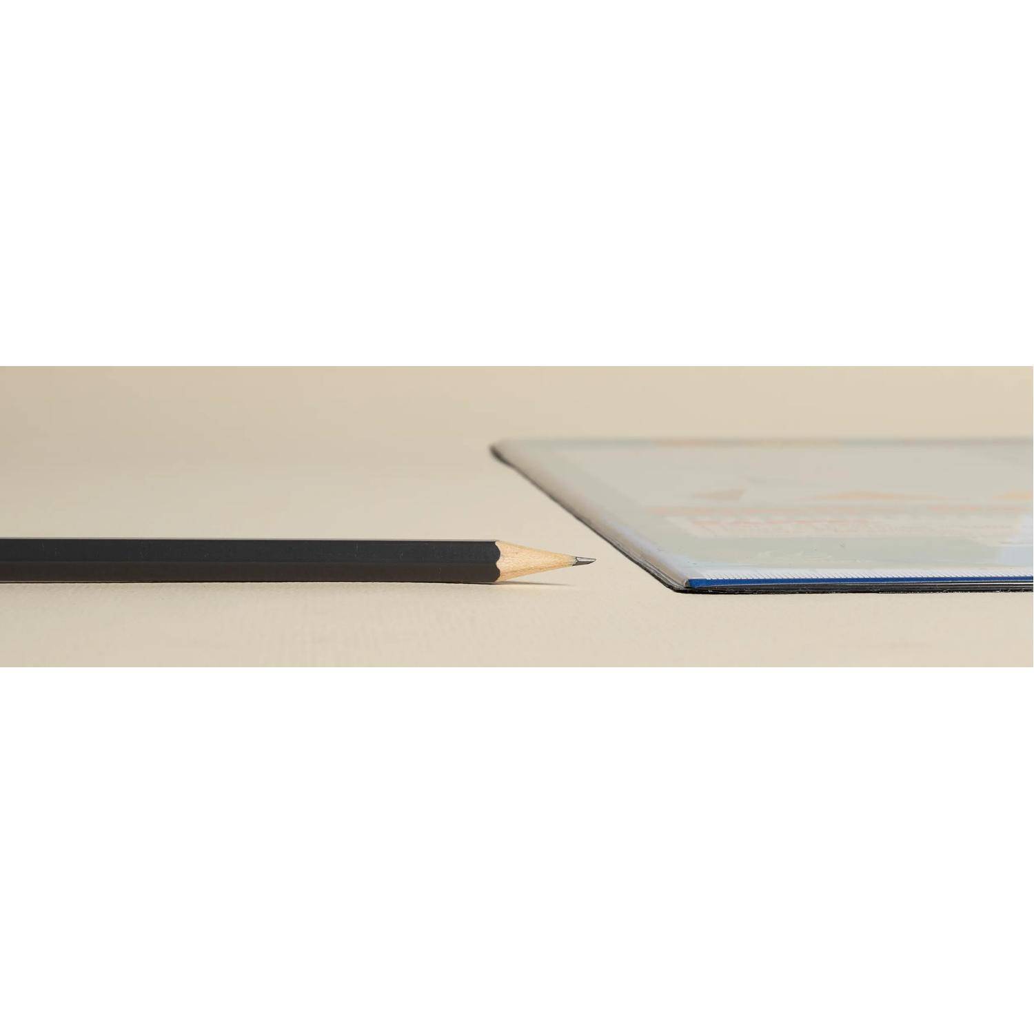 Exacompta 10x feste Schreibtischunterlage PVC Frankreich 375x575 cm Motiv 29791E