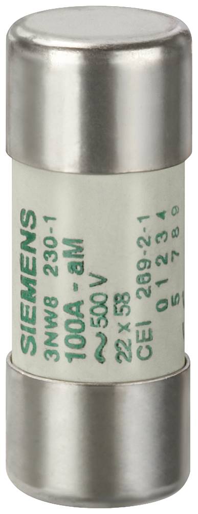 Zylindersicherung 3NW8222-1