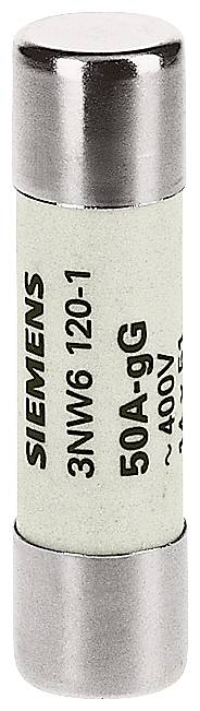 SIEM Zylinder-Sicherung 3NW61041 Gg nach Französischer Norm