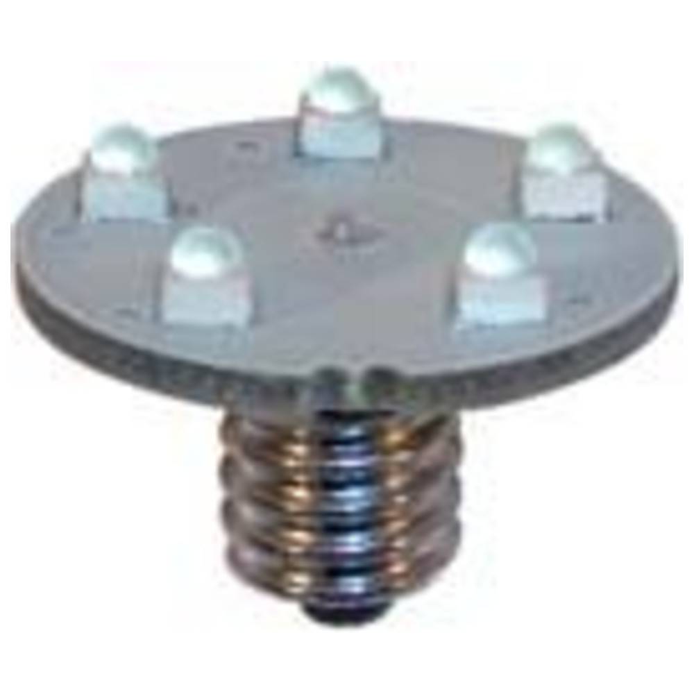 Dönges Anhaltestab, rot/rot, HALT POLIZEI / HALT POLIZEI, einseitig, LED D5