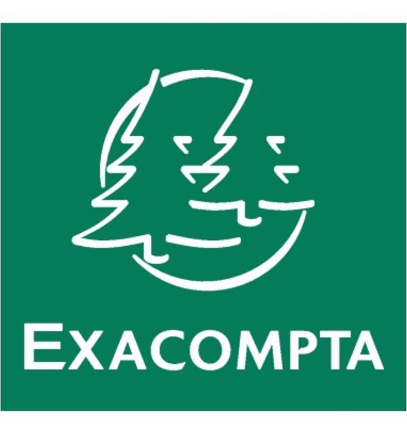 EXACOMPTA Sammelmappe 56404E DIN A4 3Klappen Karton gelb