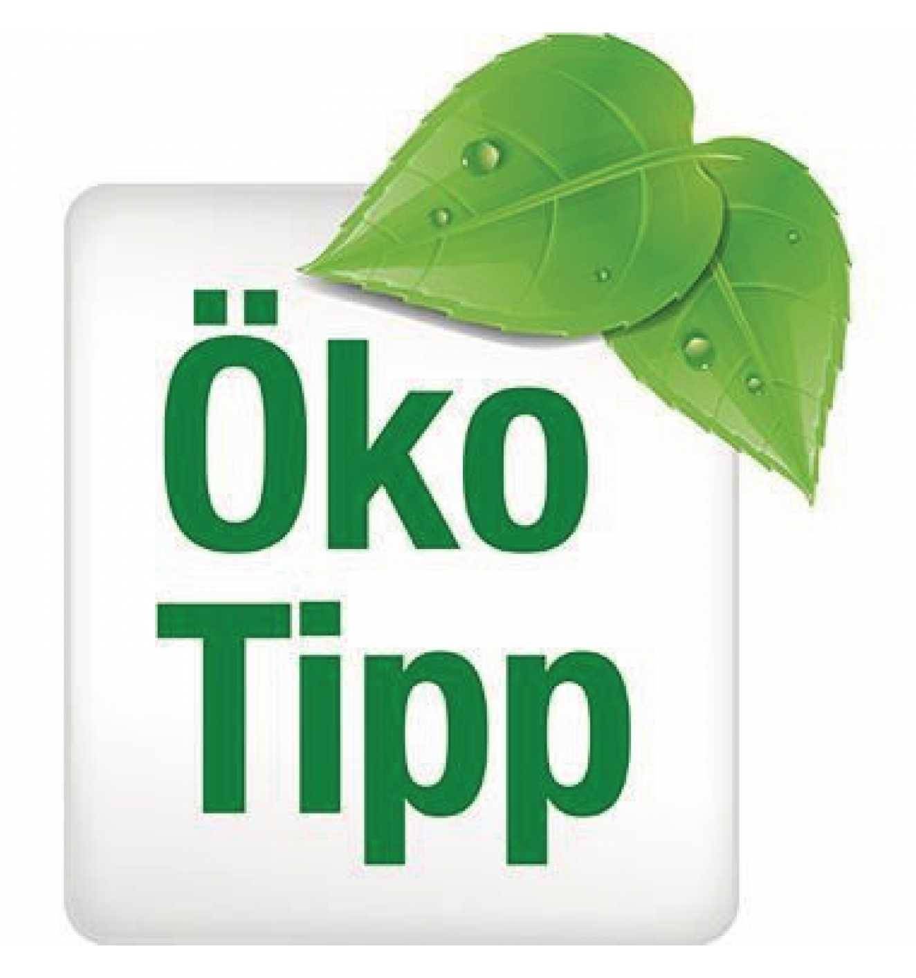 LEITZ Bene Ordner 291600 RS DIN A4 52mm PP rosa