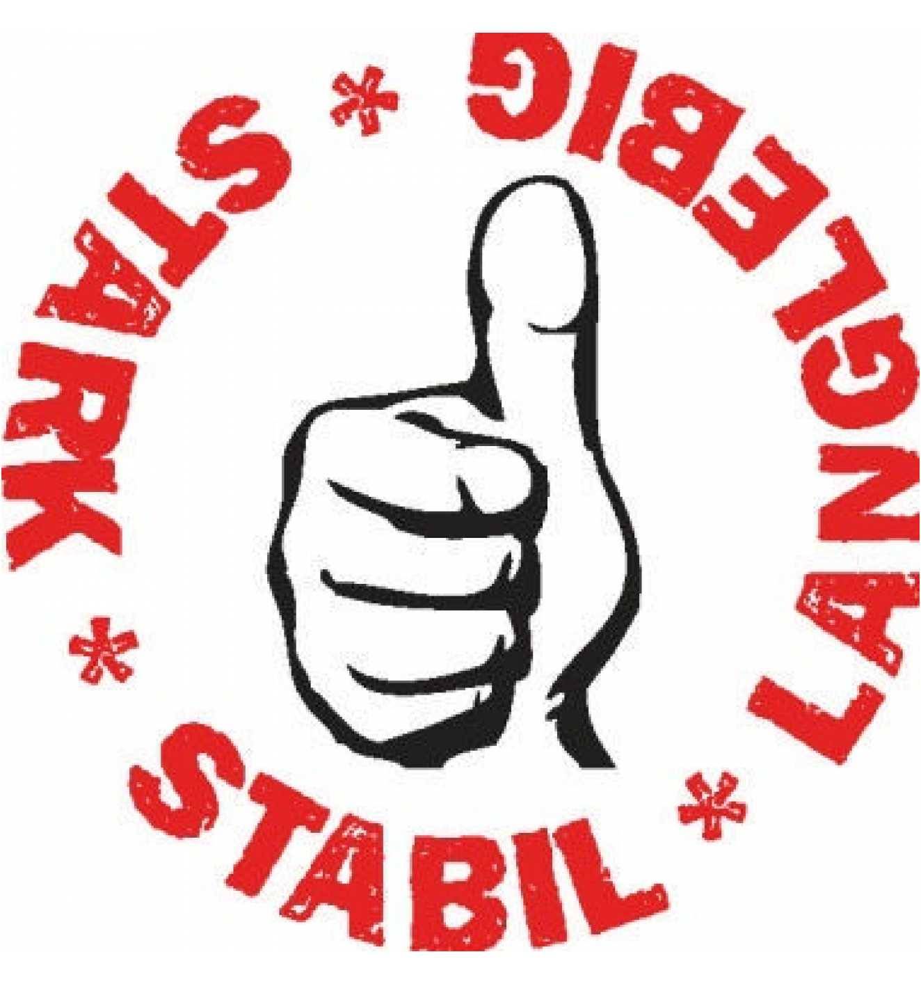 Biella Ordner Recycolor 11285285 DIN A4 50mm Papier schwarz