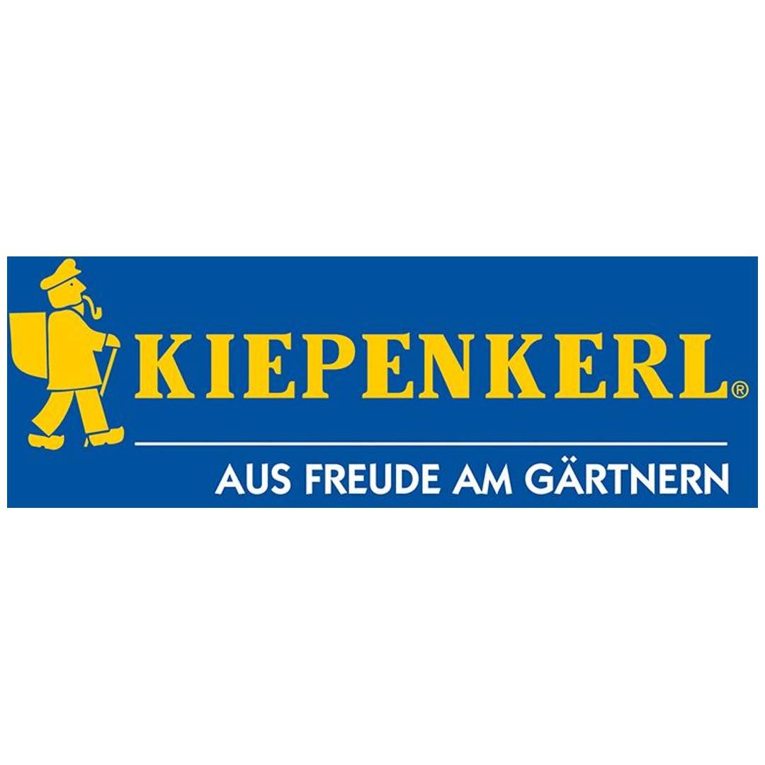 Kiepenkerl Green Rasen 1 kg Profi-Line Sunny