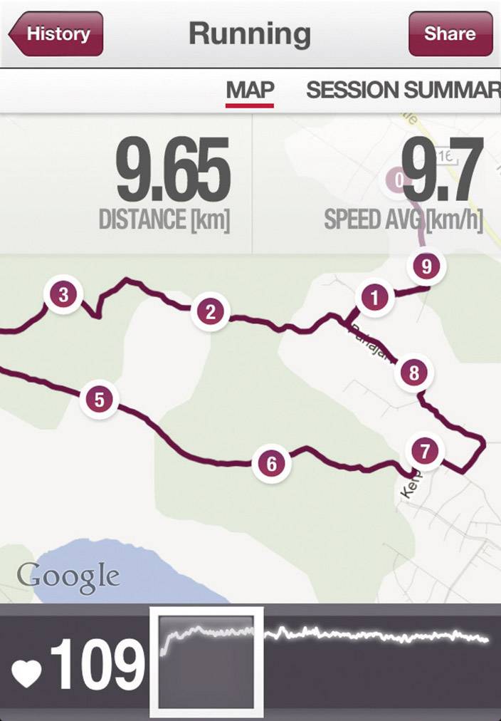 Polar H7 Set M-XXL black Brustgurt Bluetooth