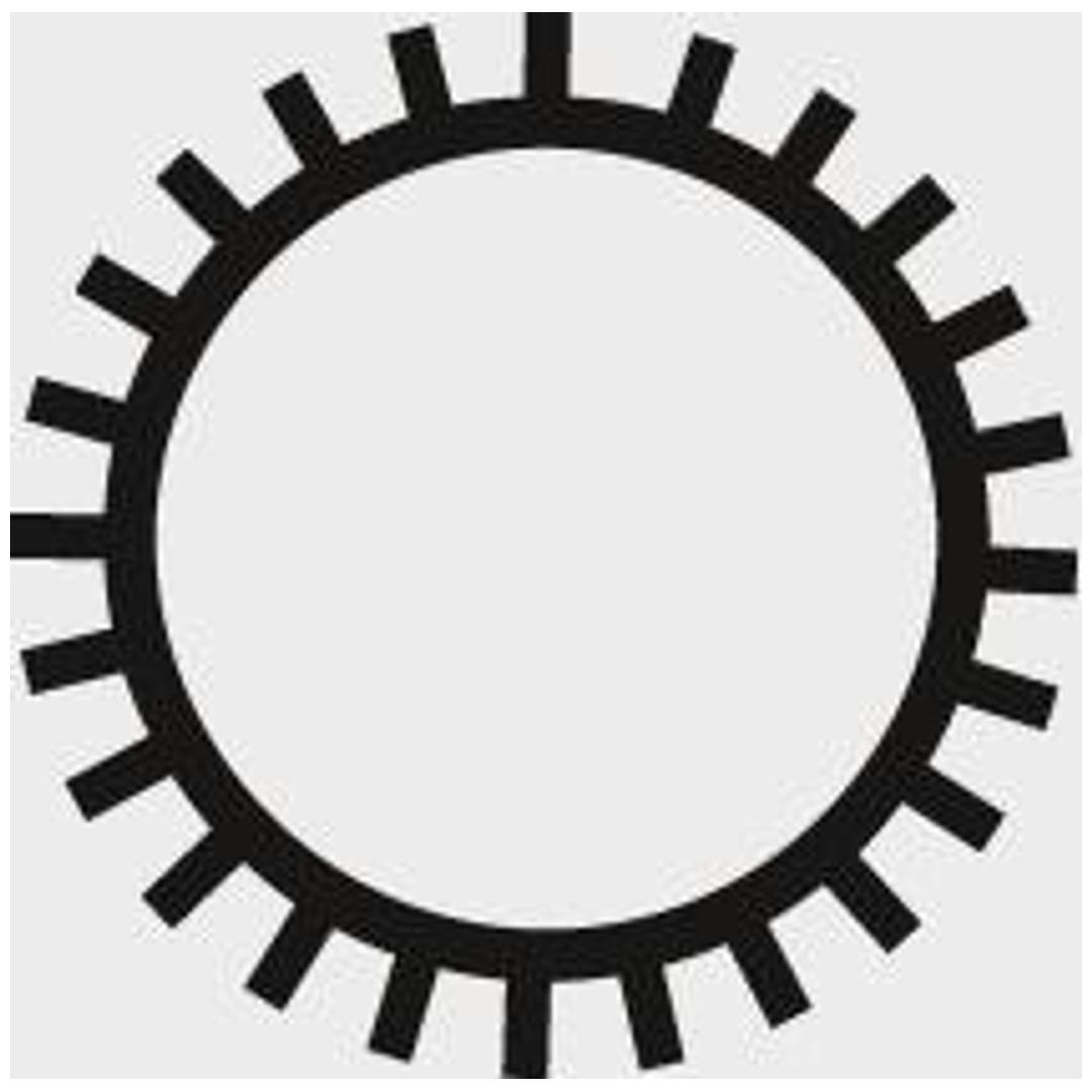 Holzraspel DIN7263 E 250mm H2 Rund FORUM