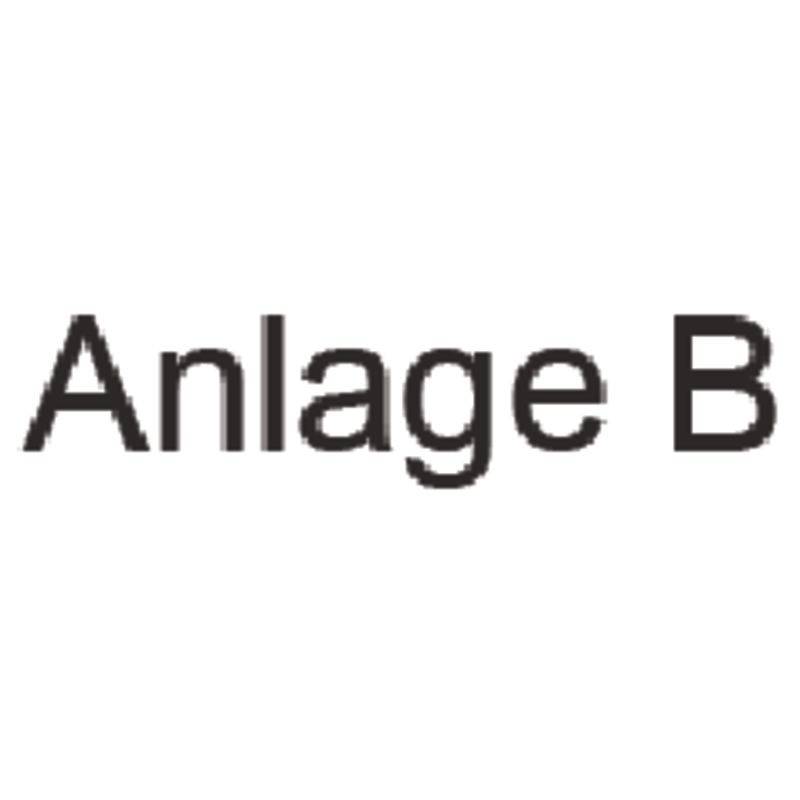 SoldanPlus Holzstempel "Anlage B"