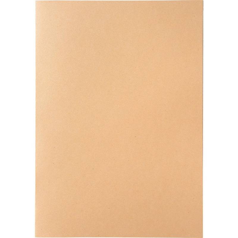 SoldanPlus Aktendeckel BASIC, chamois