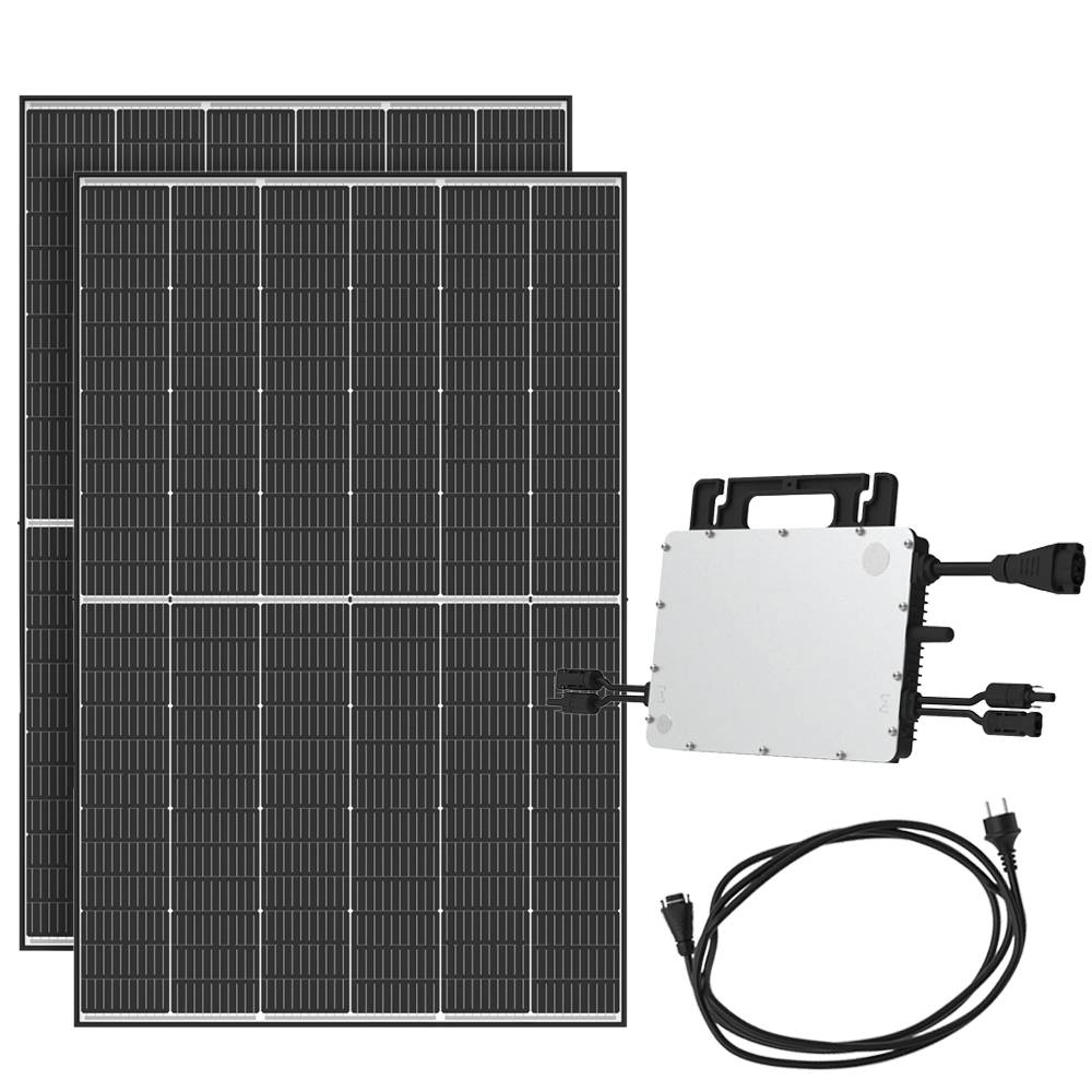 890W Balkonkraftwerk Hoymiles HMS-800W-2T 445W Trina Solar Module
