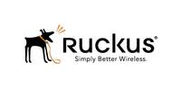 Ruckus Wireless 823-E510-1000, 1 Jahr(e)
