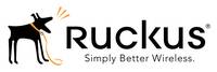 Ruckus Wireless 823-R720-1000, 1 Jahr(e)