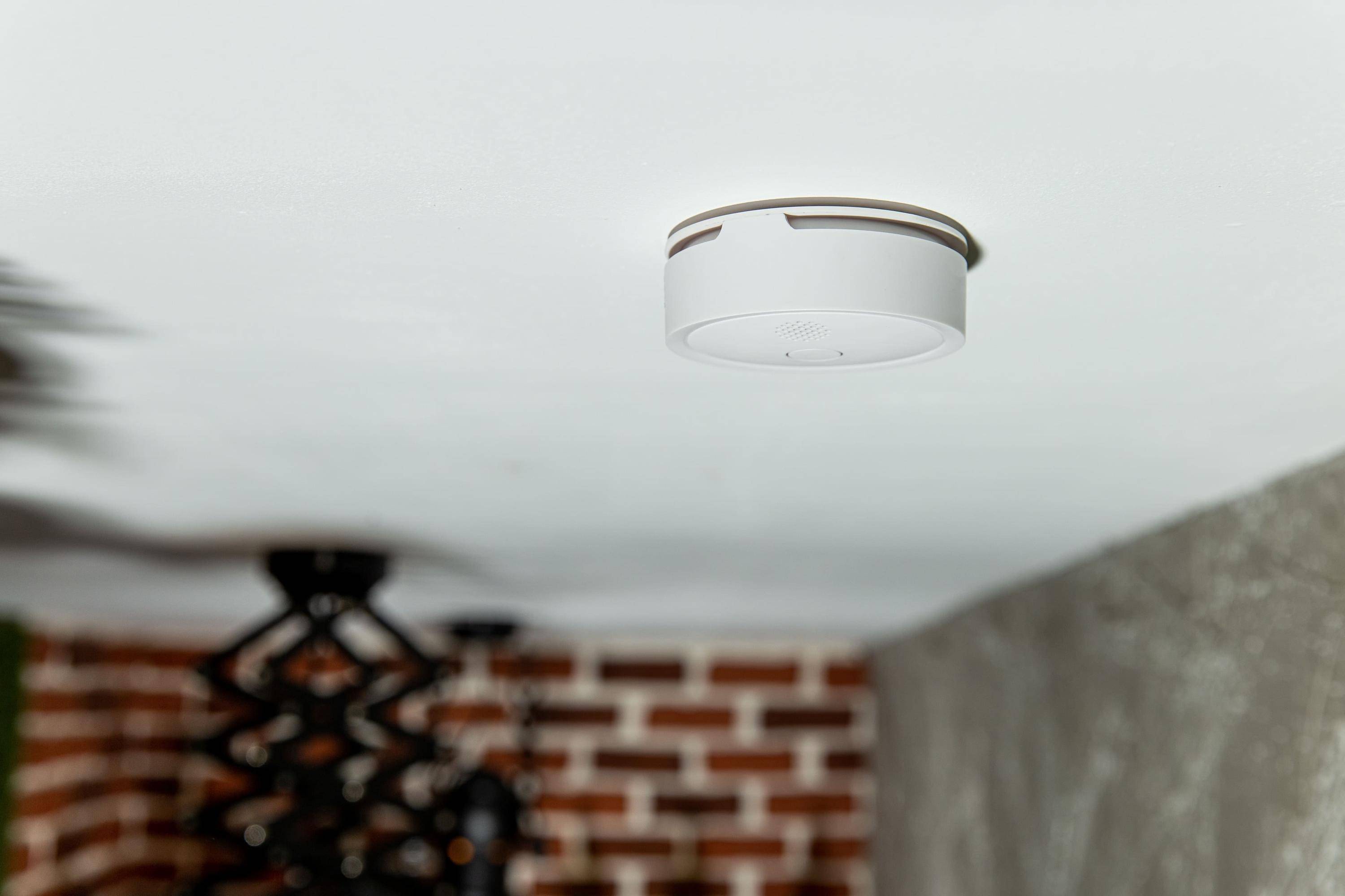 Shelly Plus Smoke Rauchmelder Bluetooth, Wi-Fi