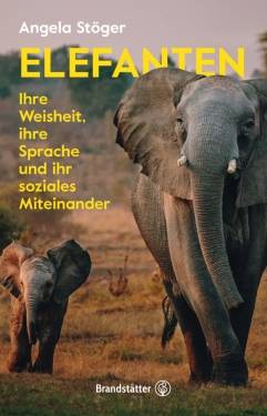 Brandstätter Verlag | Elefanten | Angela Stöger; Patricia McAllister-Käfer