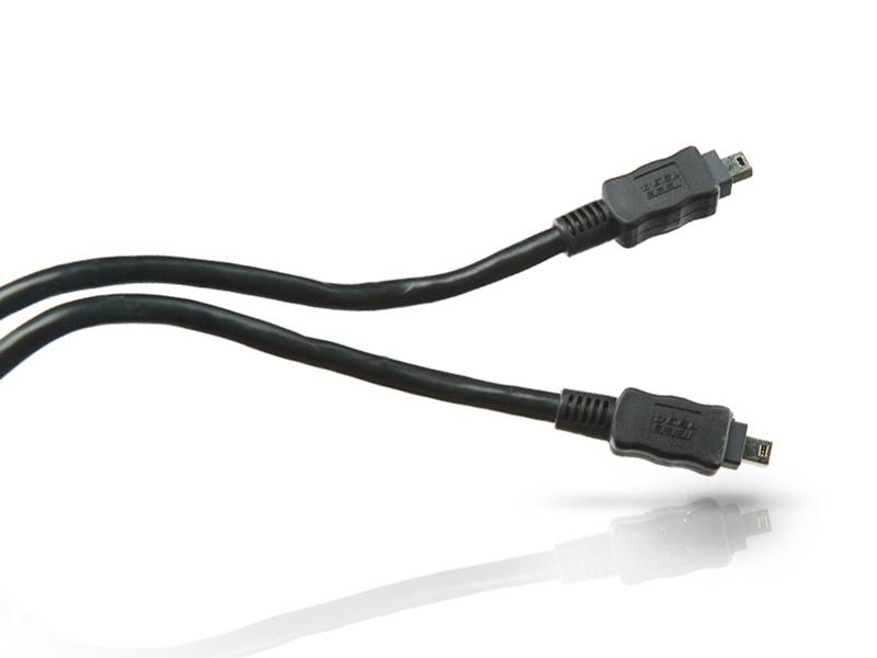 Conceptronic - IEEE 1394-Kabel - FireWire, 4-polig (M)