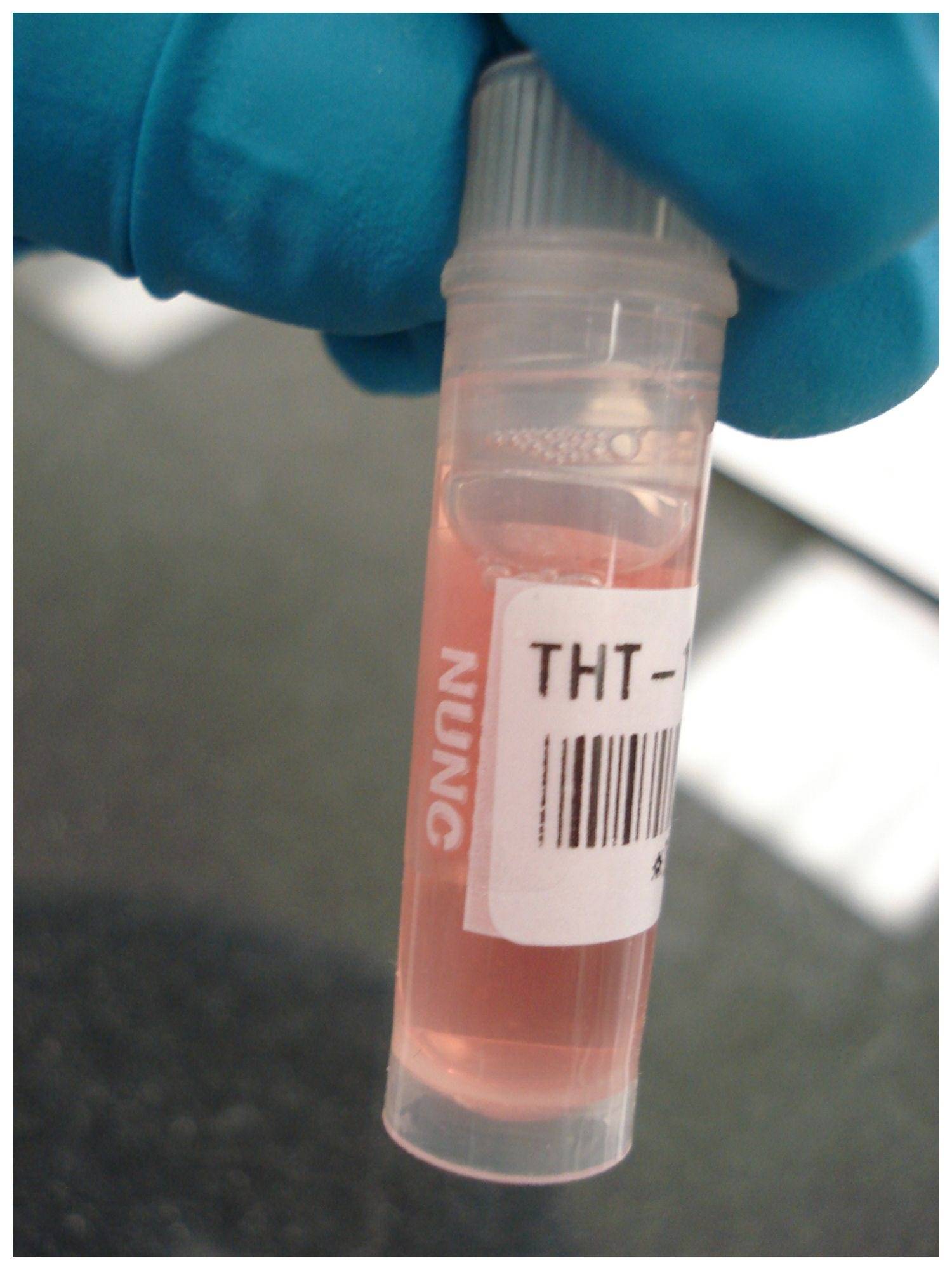 Laboretiketten mit Laminat, Polyester, weiß, M510, BMP51 & M511, 25,4 x 66,68 mm, M5-75-461