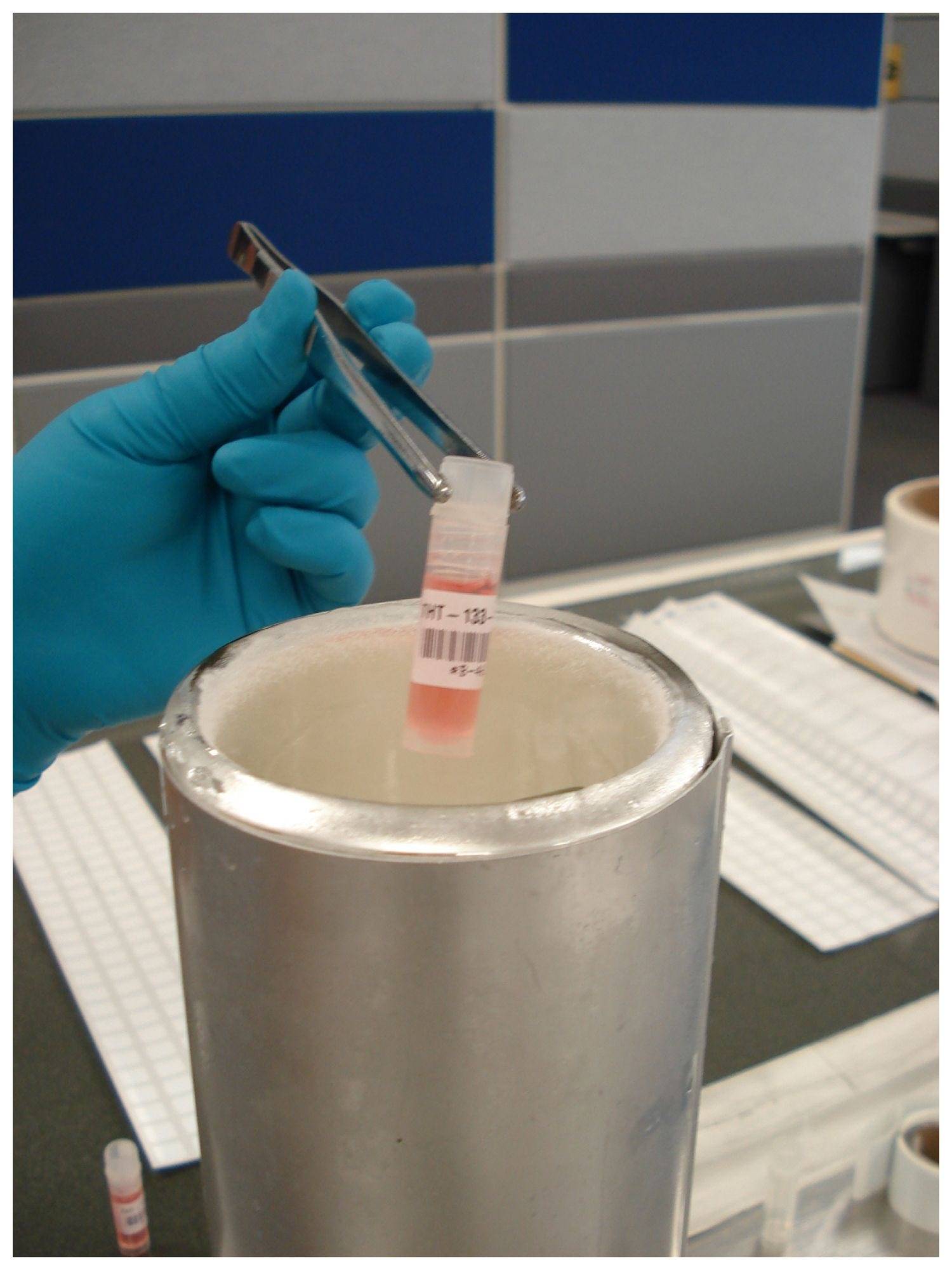 Brady Corporation M4-124-461 Polyester Schwarz auf weiss/Transparent 12.70 x 19.05 41.91 mm