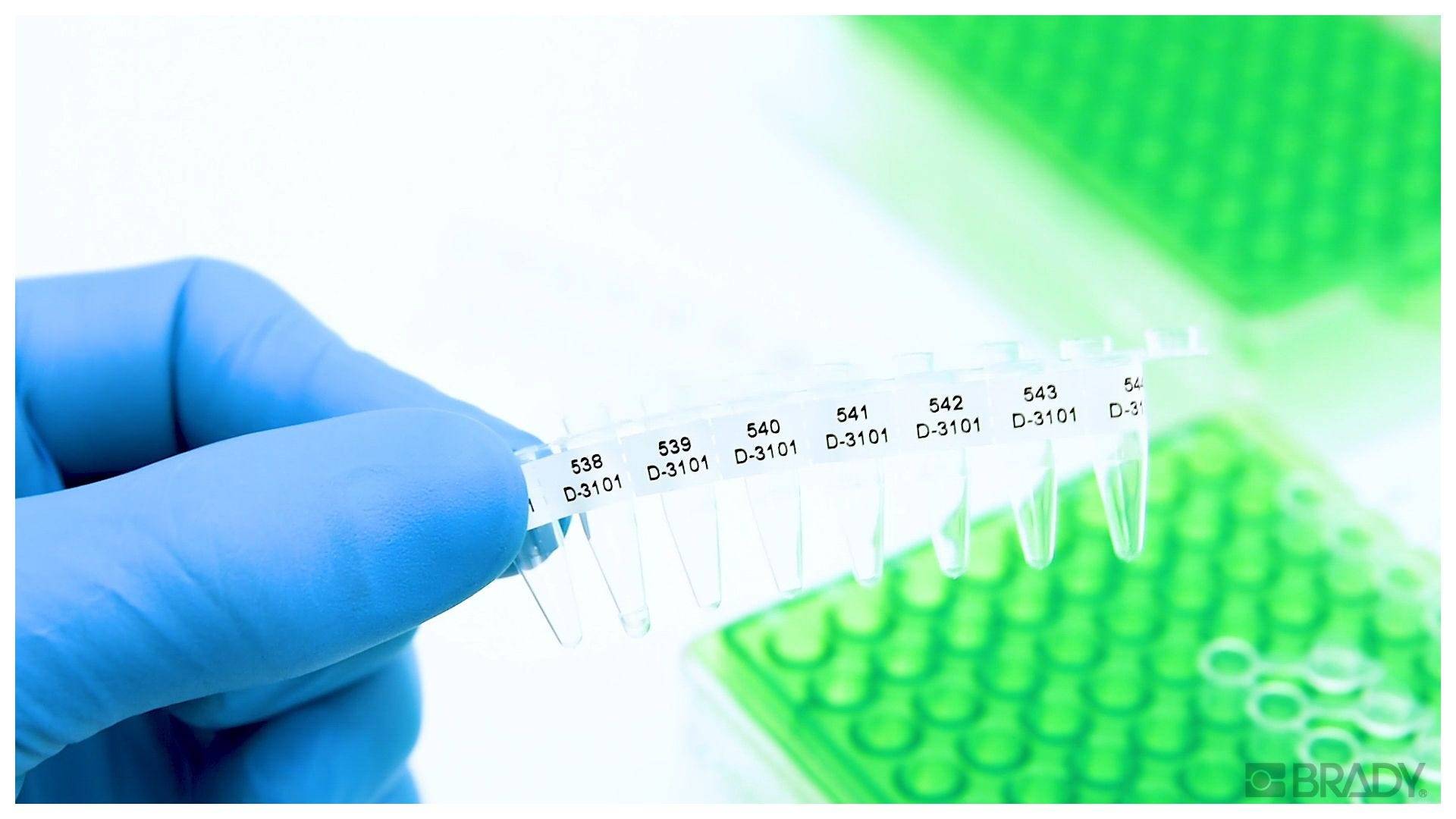 kältebeständige Labor-Etiketten, FreezerBondz, weiß, rund, Ø 9,53 mm, M4-82-492