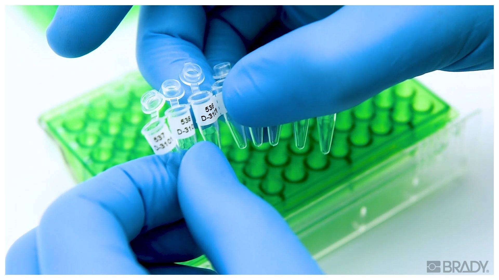 kältebeständige Labor-Etiketten, FreezerBondz, weiß, rund, Ø 9,53 mm, M4-82-492