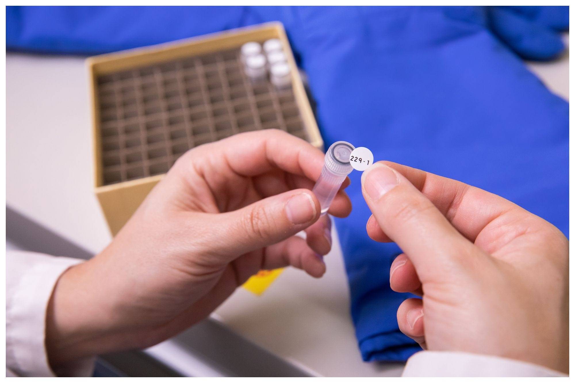 kältebeständige Labor-Etiketten, FreezerBondz, weiß, rund, Ø 9,53 mm, M4-82-492