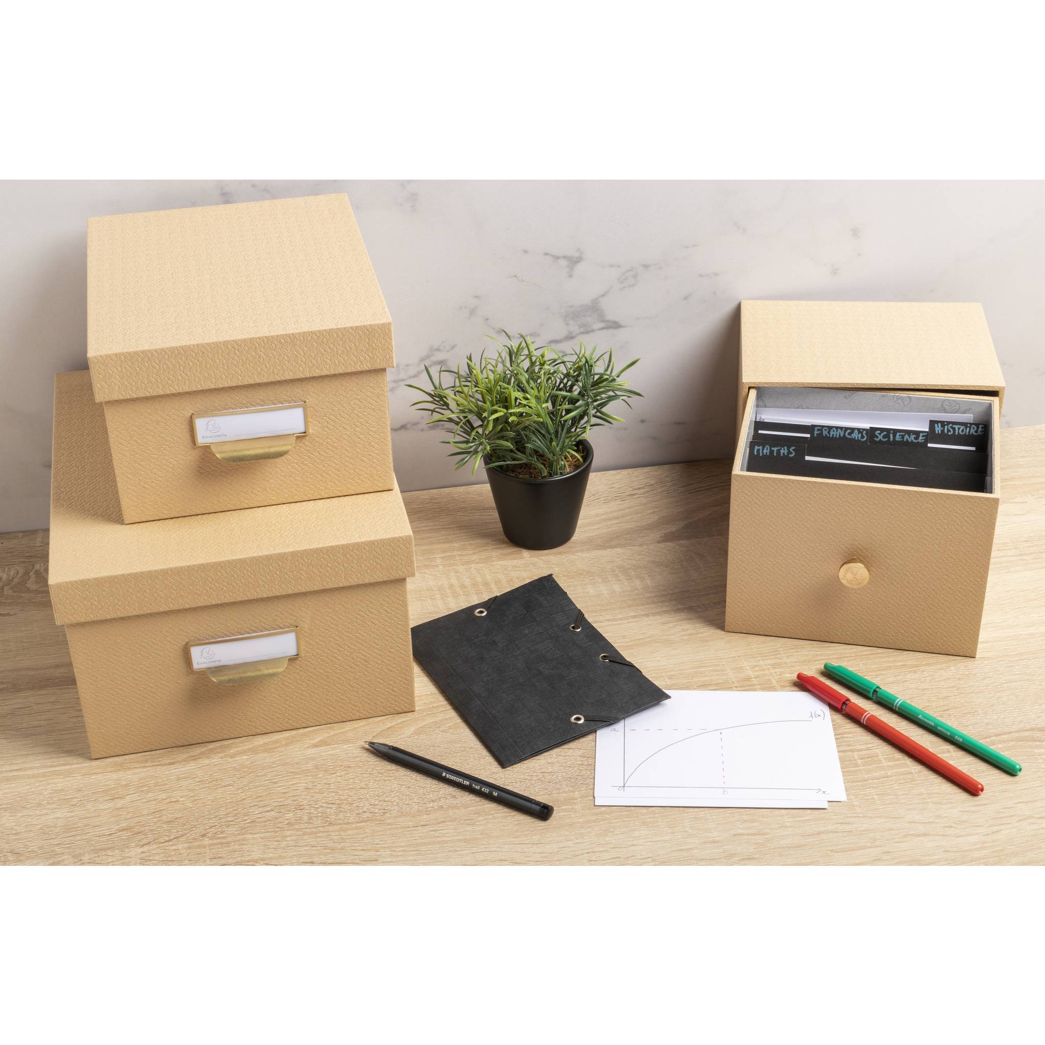 Exacompta 2x Schubladenbox für Fotos Karteikarten 14x177x134 cm Beige 78602E