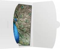 Daiber 09021, Papier, Weiß, 15 x 20 cm