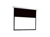 Projecta Descender Electrol - Leinwand - Deckenmontage möglich, geeignet für Wandmontage - motorisiert - 271 cm (107"
