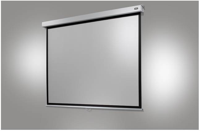 Celexon Rollo Professional Plus 1090806 Motorleinwand