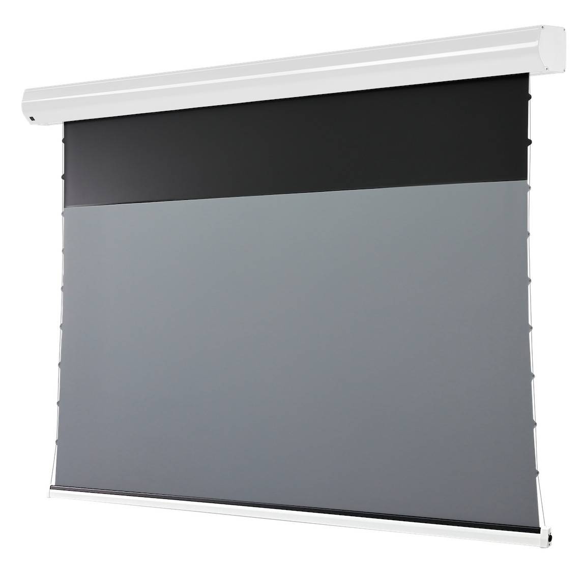 celexon Leinwand Motor HomeCinema Plus Tension - CLR UST, 120" weiß