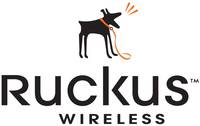 Ruckus Wireless Ruckus WatchDog Advance Replacement Renewal, T310S, 1 Yr, 1 Lizenz(en), 1 Jahr(e)